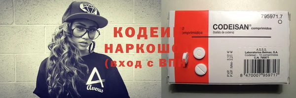 шишки Бородино