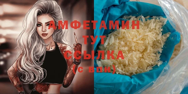 шишки Бородино