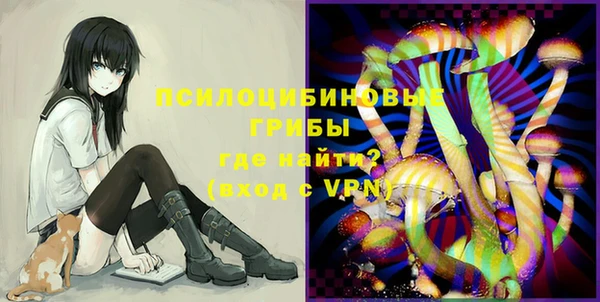 шишки Бородино