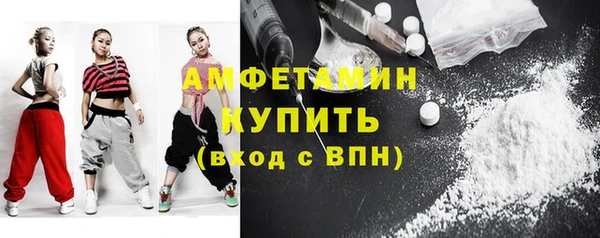 шишки Бородино