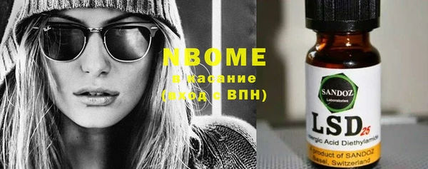 шишки Бородино