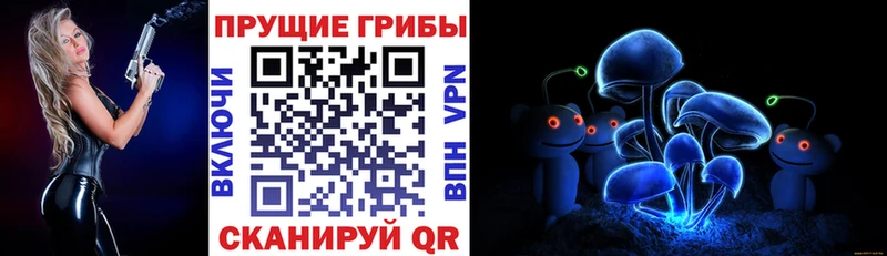 Псилоцибиновые грибы Psilocybine cubensis  дарк нет телеграм  Корсаков 
