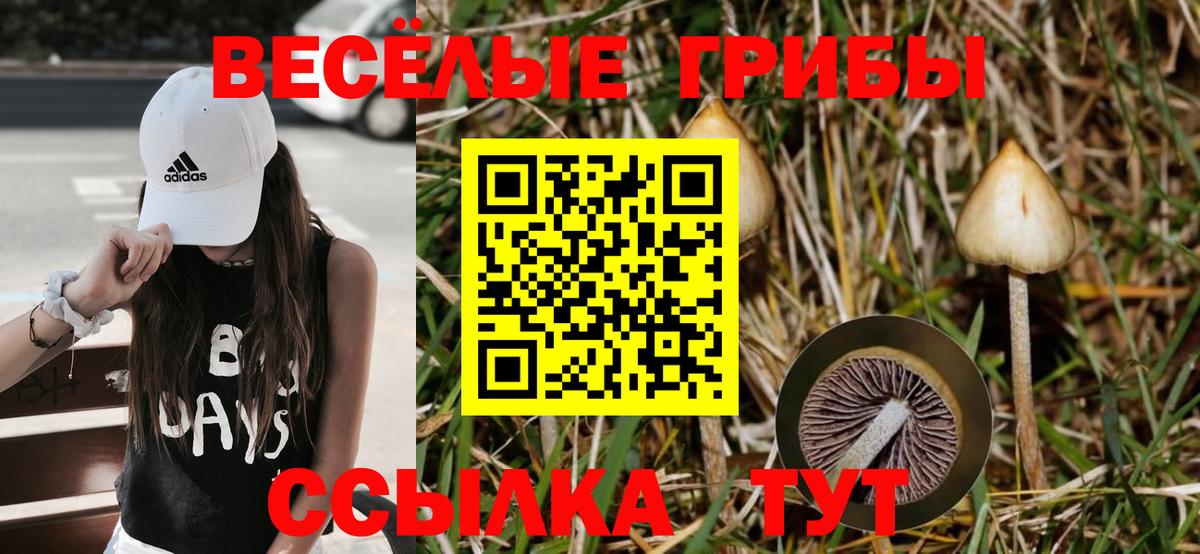 Галлюциногенные грибы Psilocybine cubensis  Вход с VPN  Корсаков 
