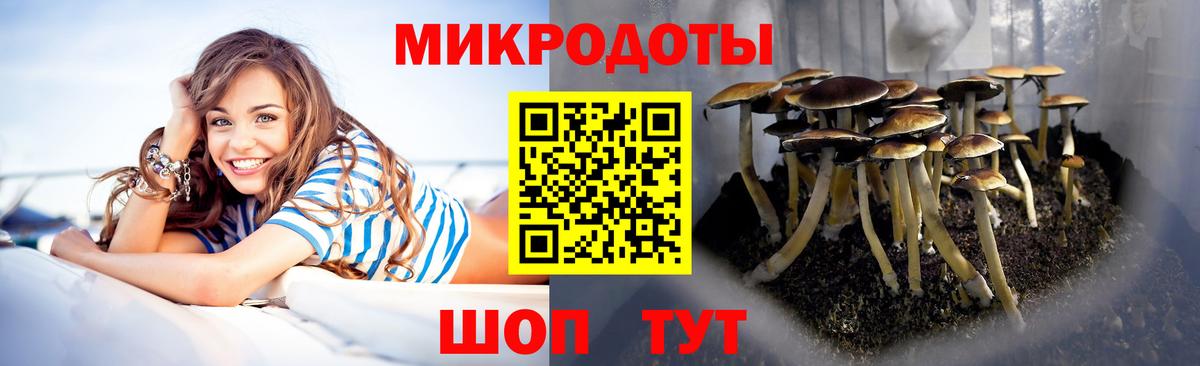 Амфетамин кристаллы  Вход с VPN  MDMA  Корсаков  Гашиш  Конопля  Кетамин  Меф кристаллы  Вейп ТГК  ГАШИШ  Метамфетамин 